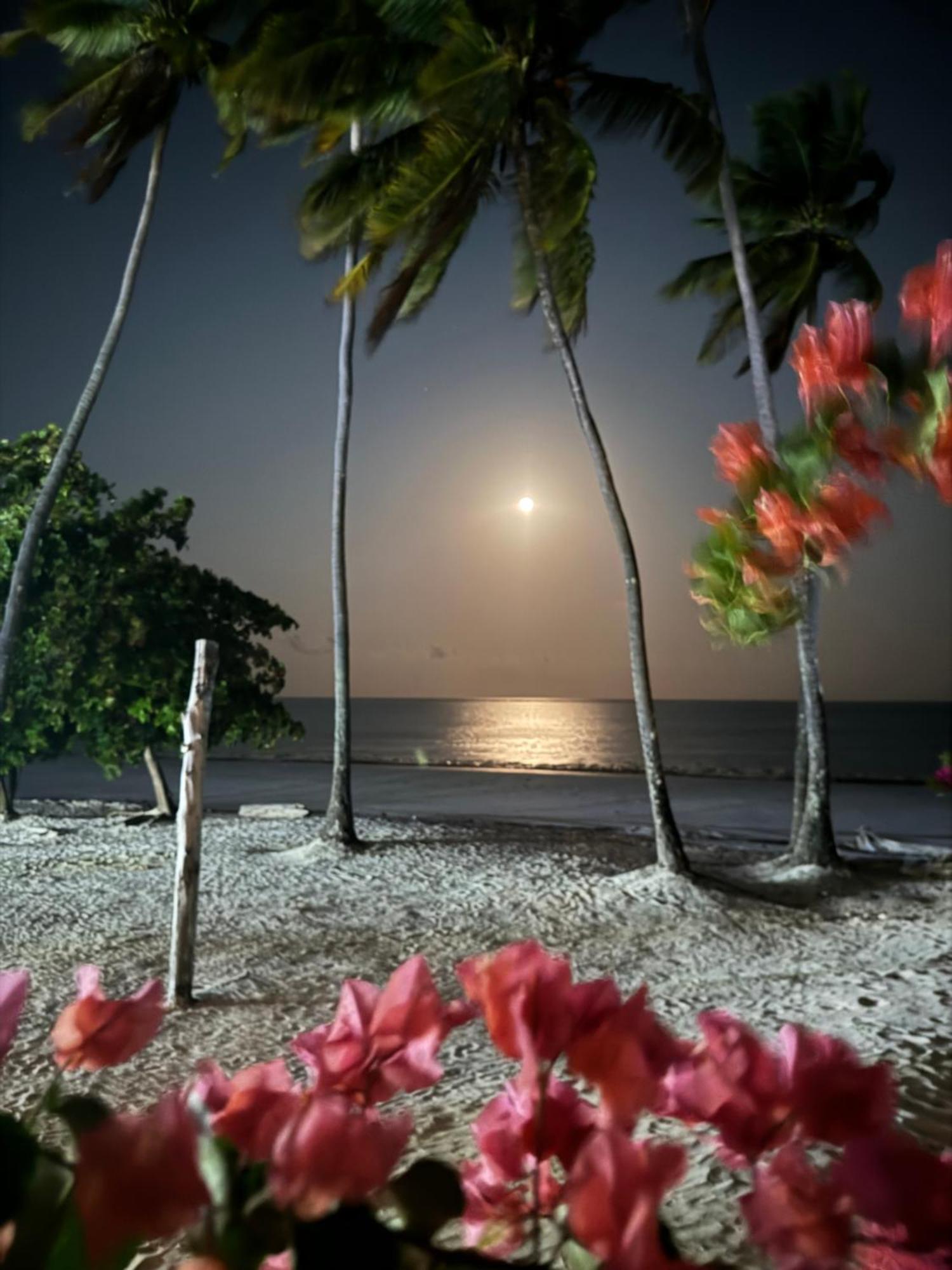 Zanzinite Beach Spa Hotel Zanzibar Buitenkant foto